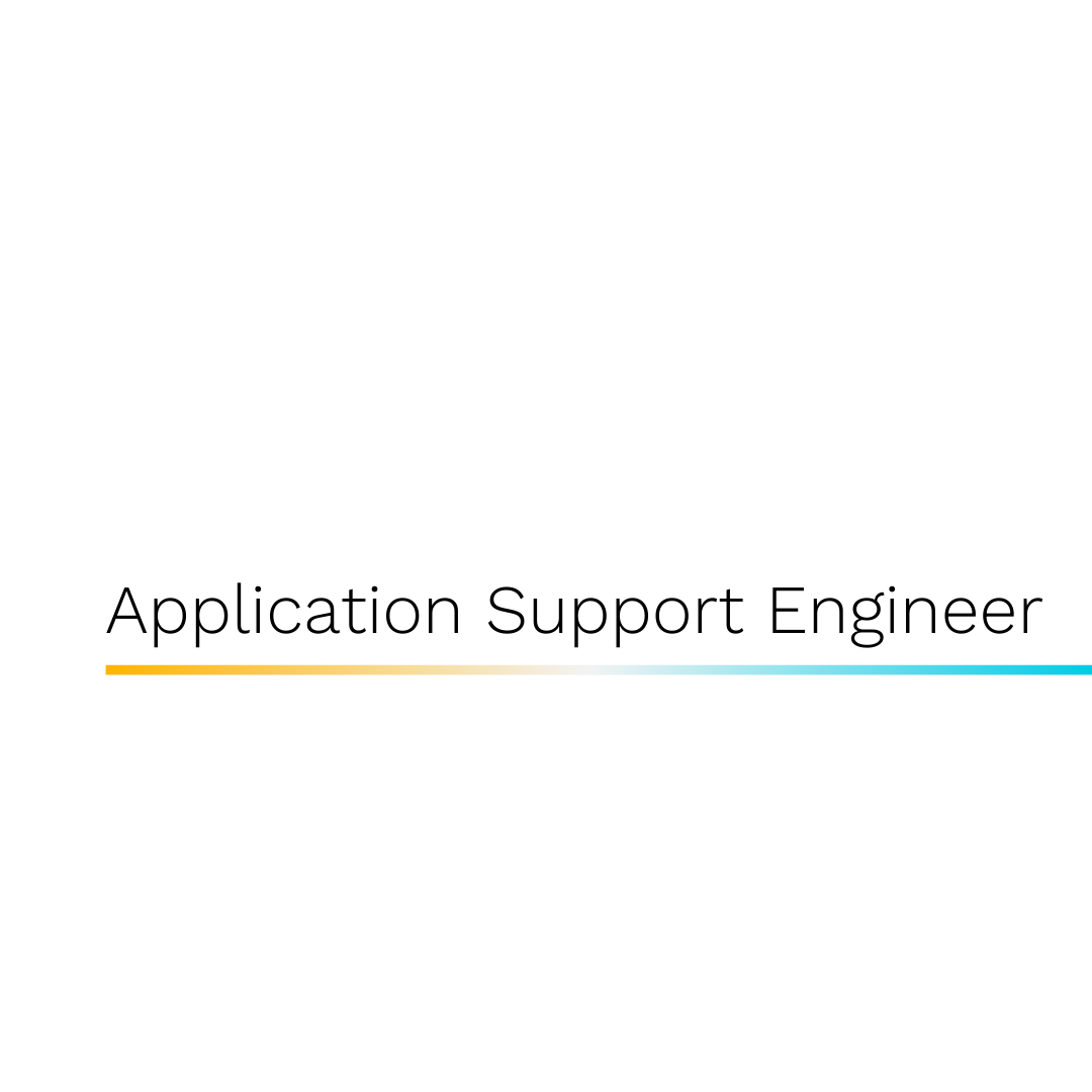 Application support Engineer Consultancy Exert